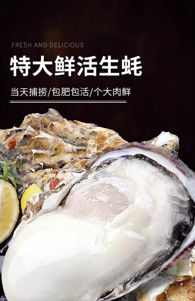 选购牡蛎批发全攻略：打造美味餐桌