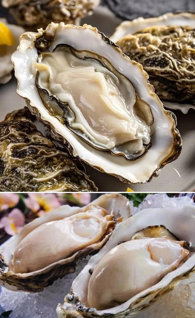 鲜活牡蛎